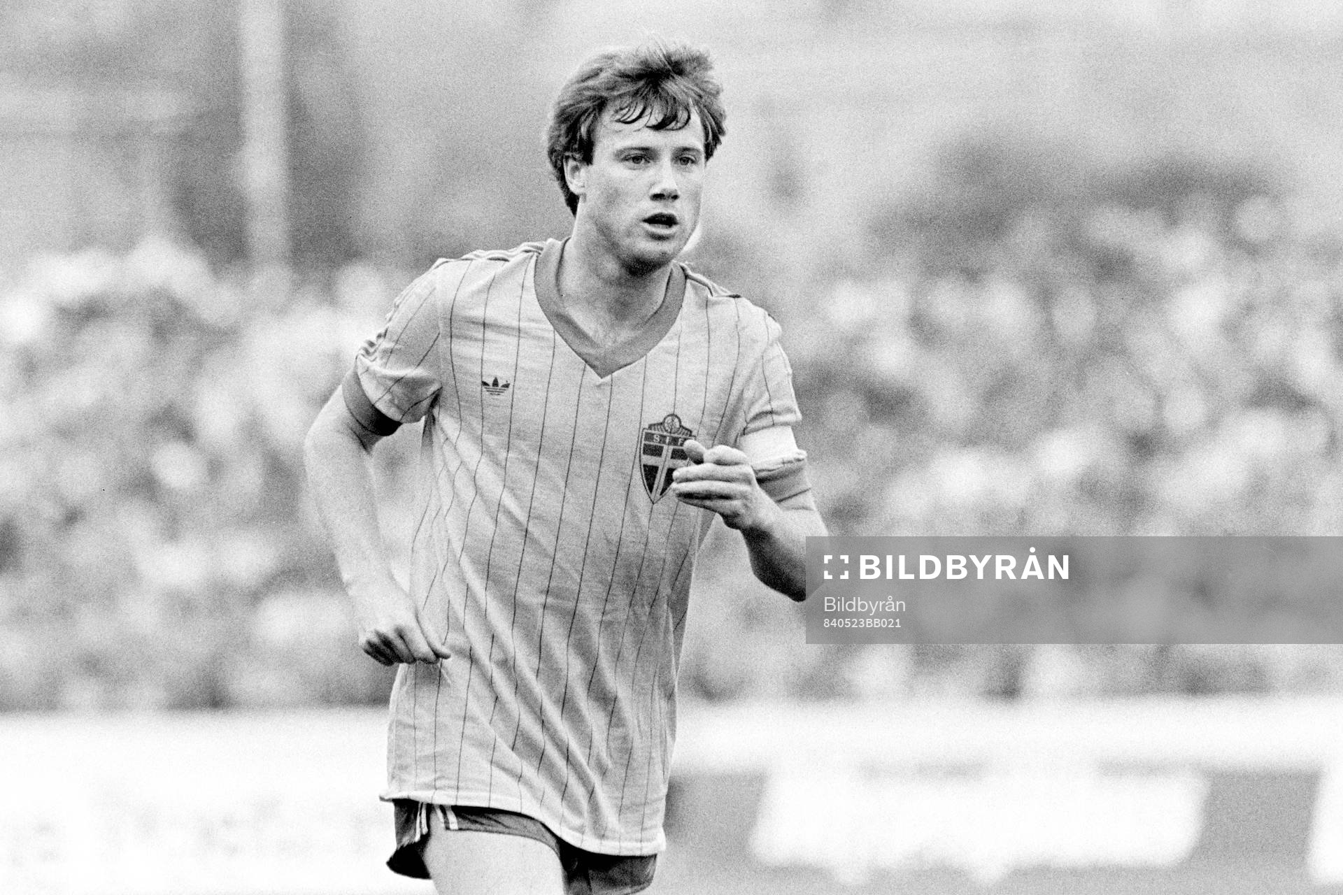 Ingemar Erlandsson, Sverige