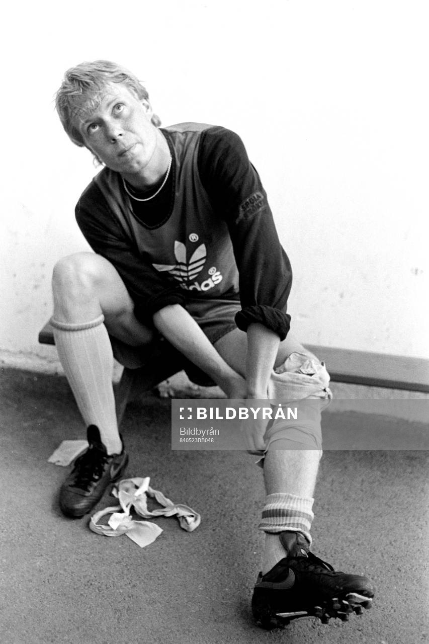 Lasse Larsson, Sverige