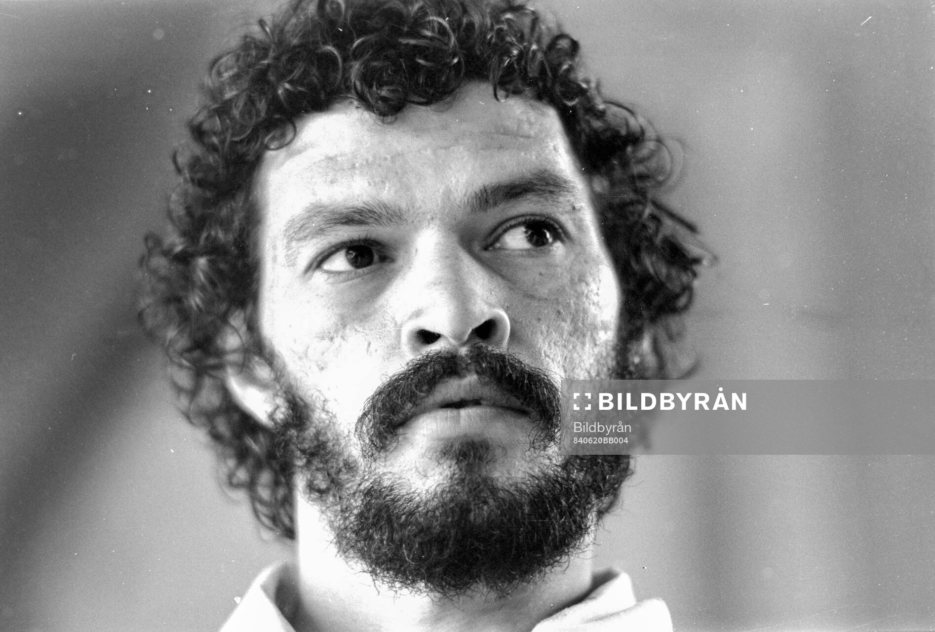 Socrates of Fiorentina