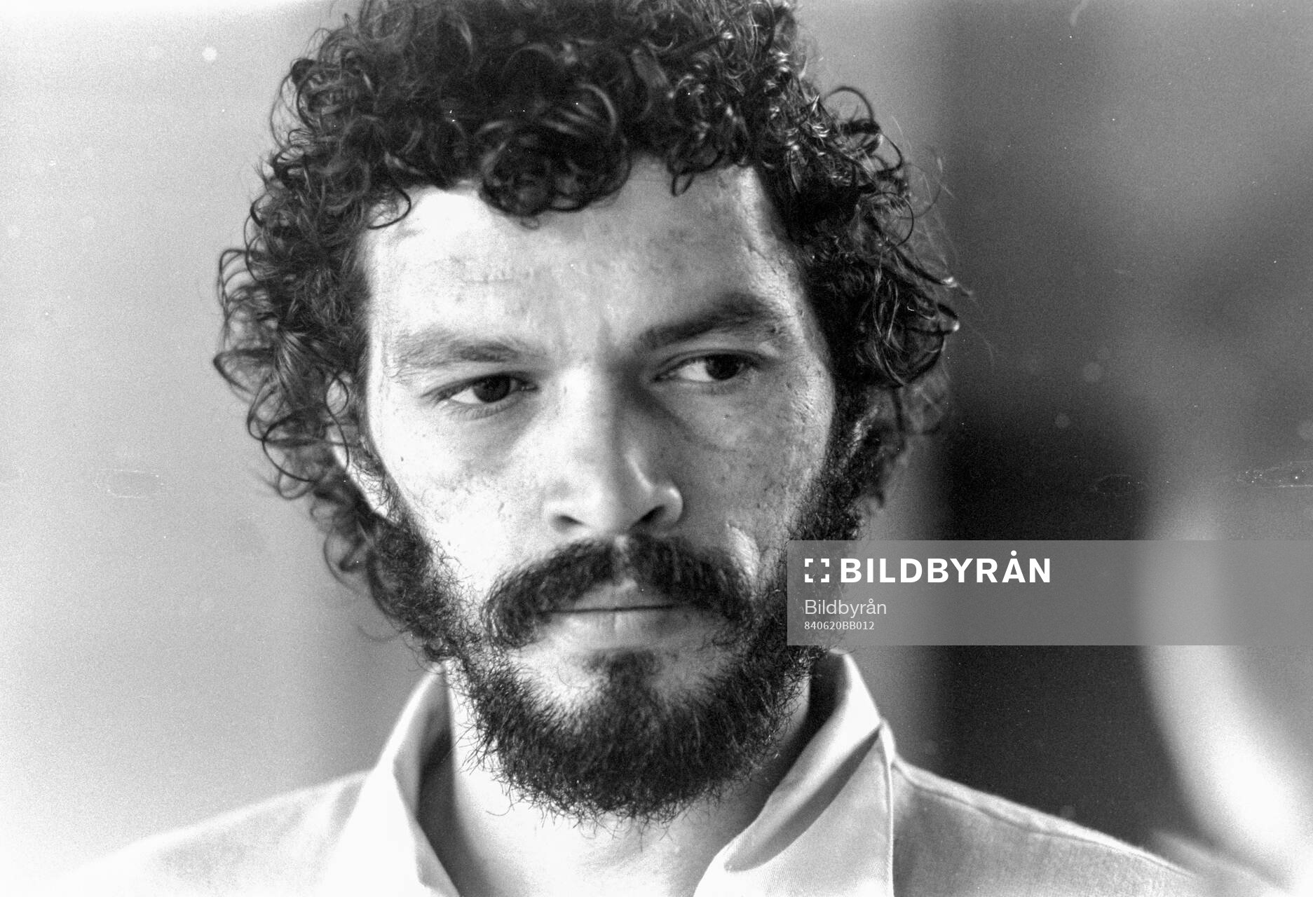 Socrates of Fiorentina