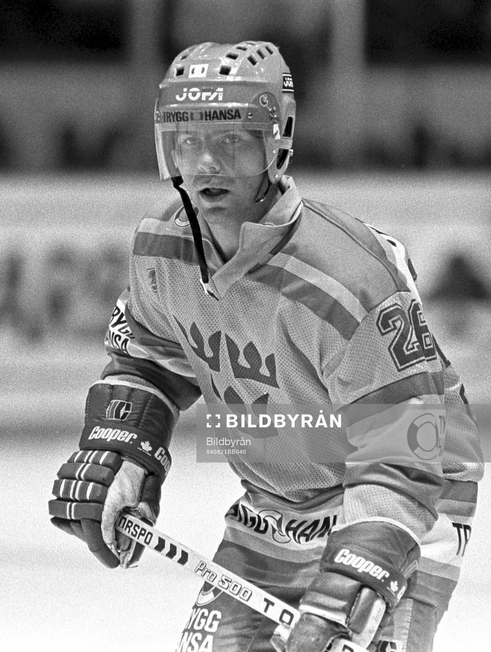 Mats Näslund, Sverige