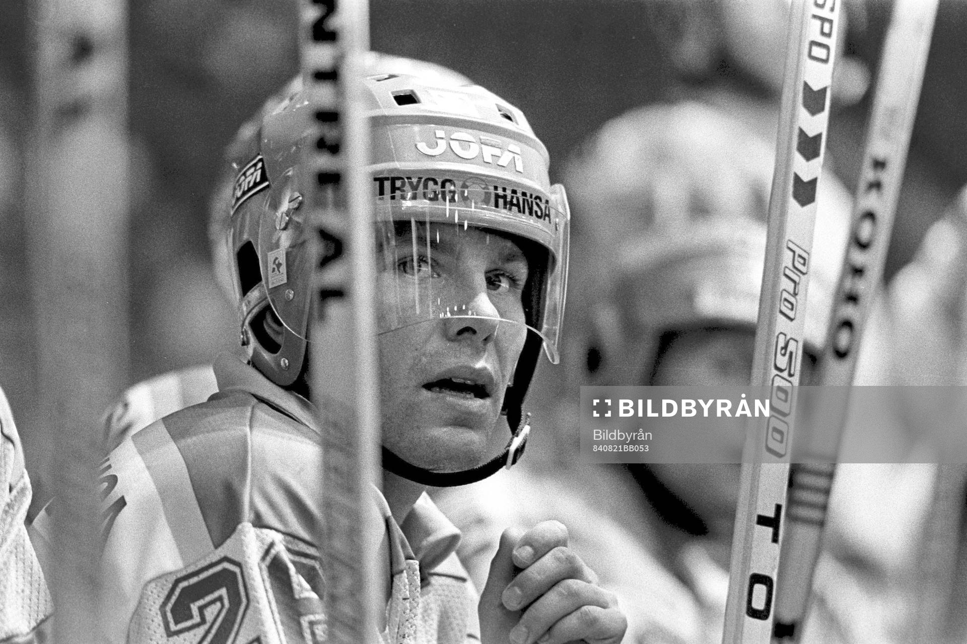 Mats Näslund, Sverige