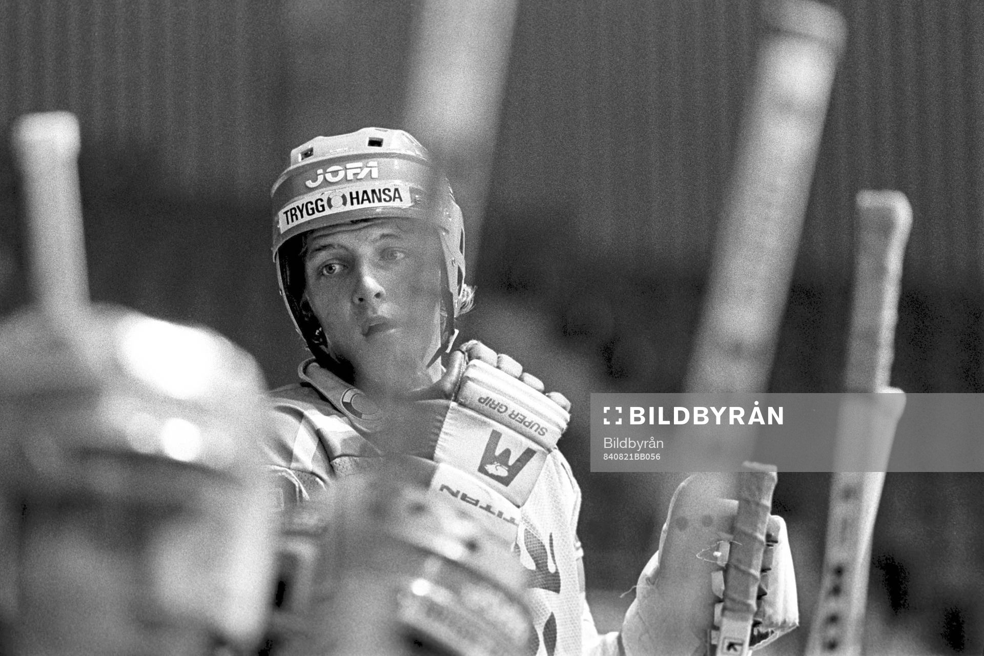 Tomas Sandström, Sverige
