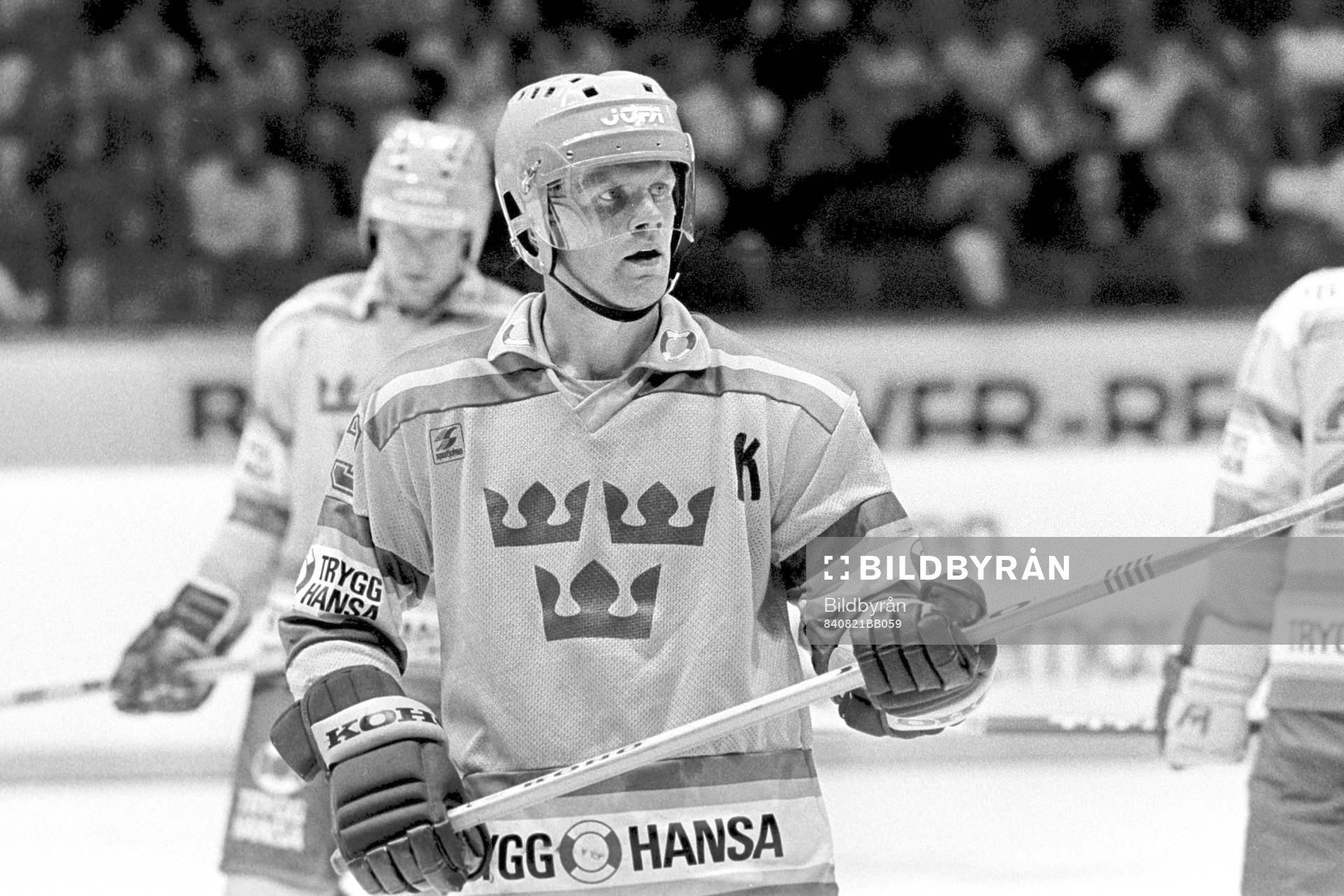 Thomas Gradin, Sverige