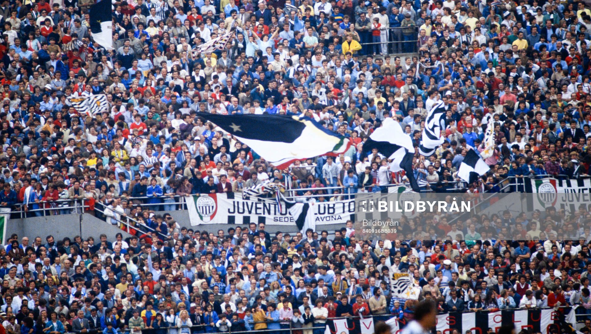 Como - Juventus: Juventus fans