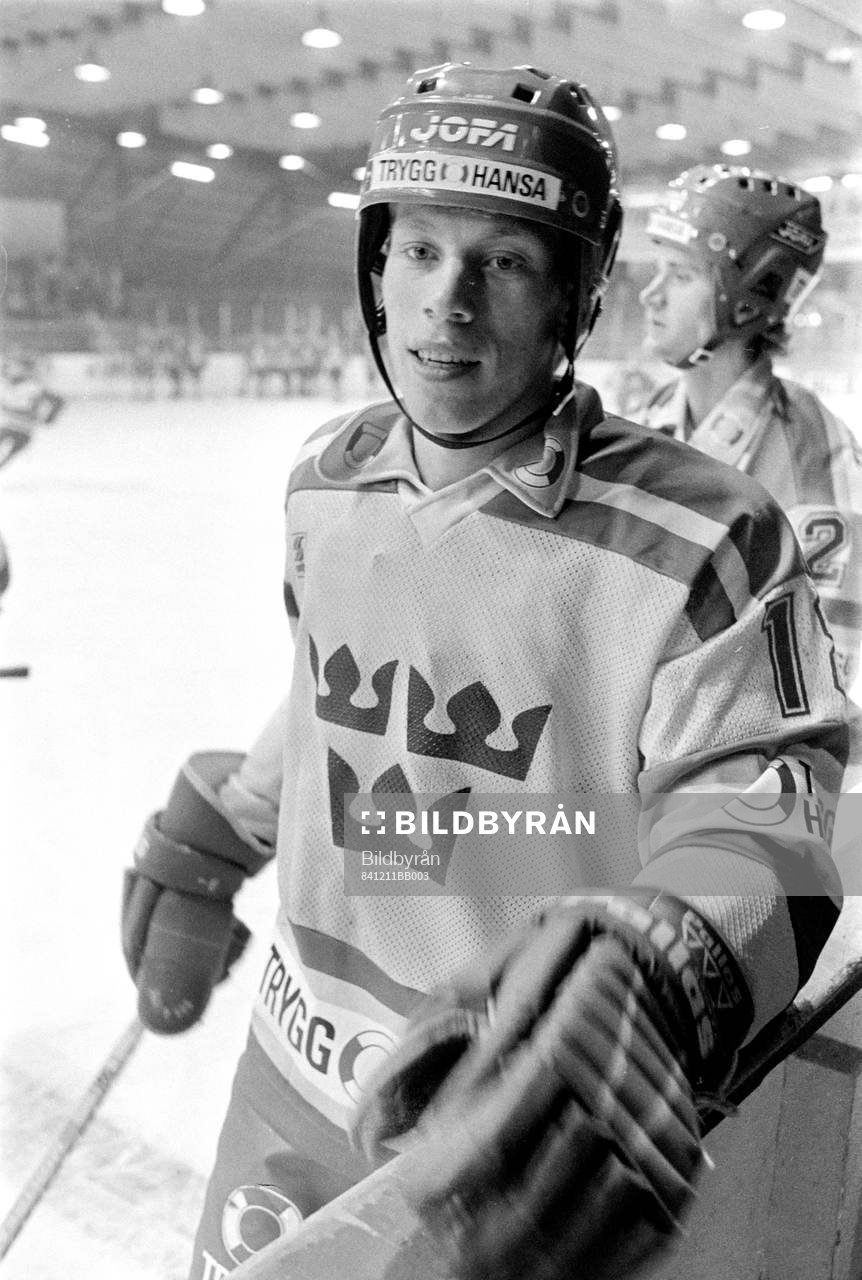 Jonas Bergqvist, Sverige