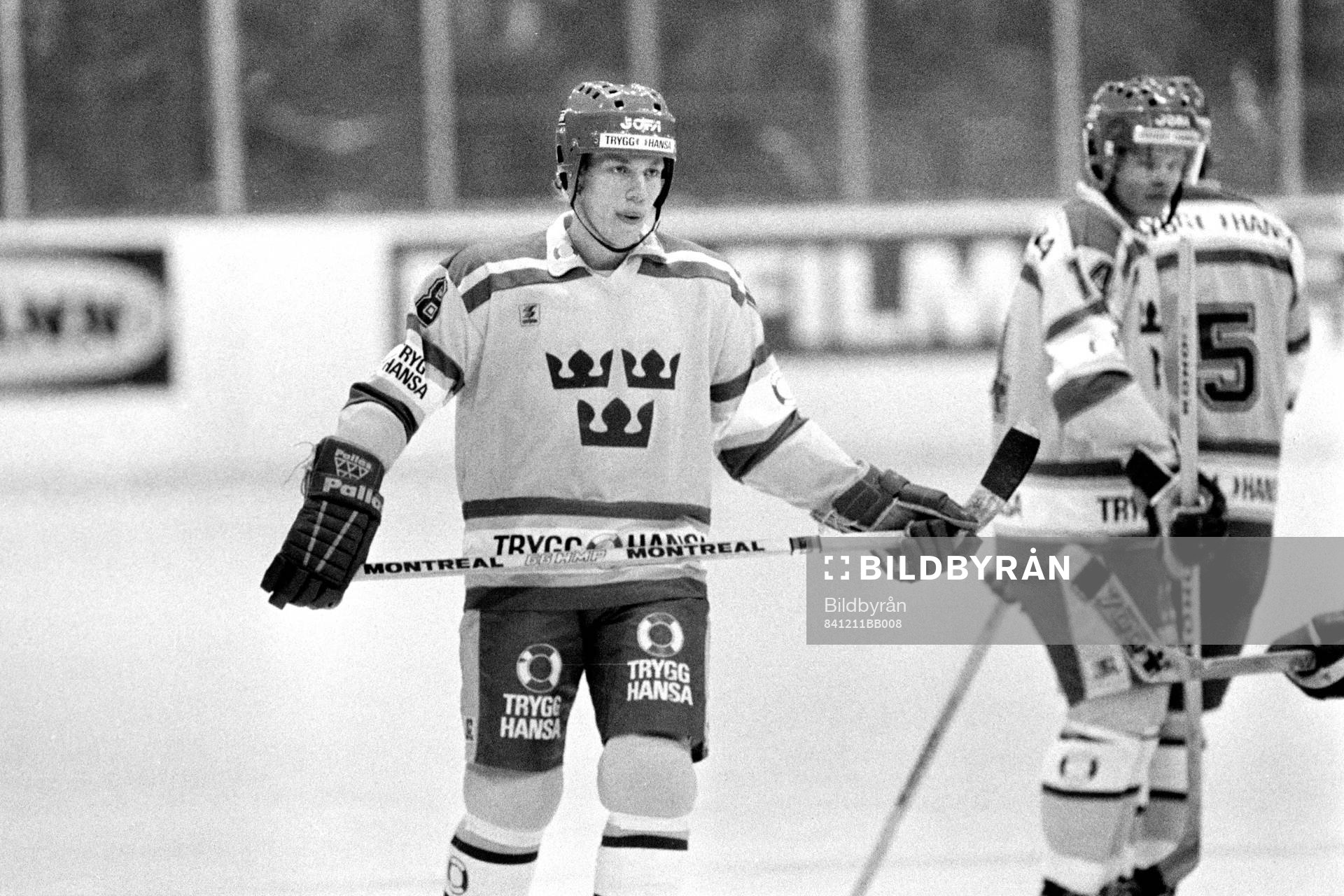 Jonas Bergqvist, Sverige