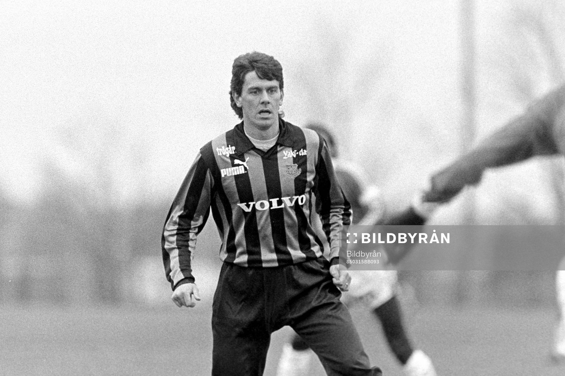 Steve Gardner