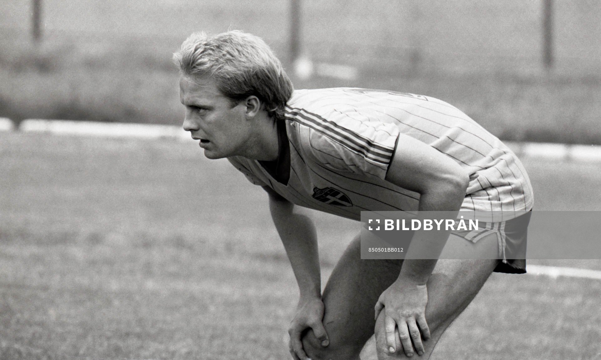 Mats Magnusson, Sverige