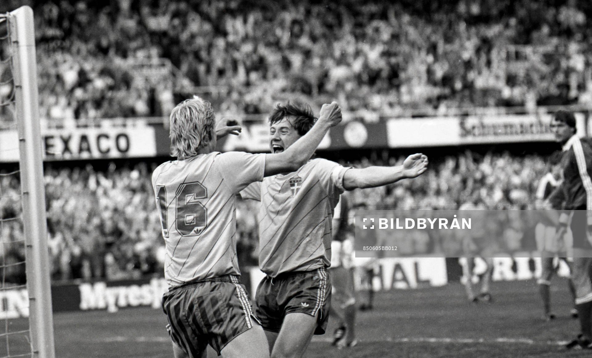 Lars Larsson och Ingemar Erlandsson, Jubel, Glädje, Sverige