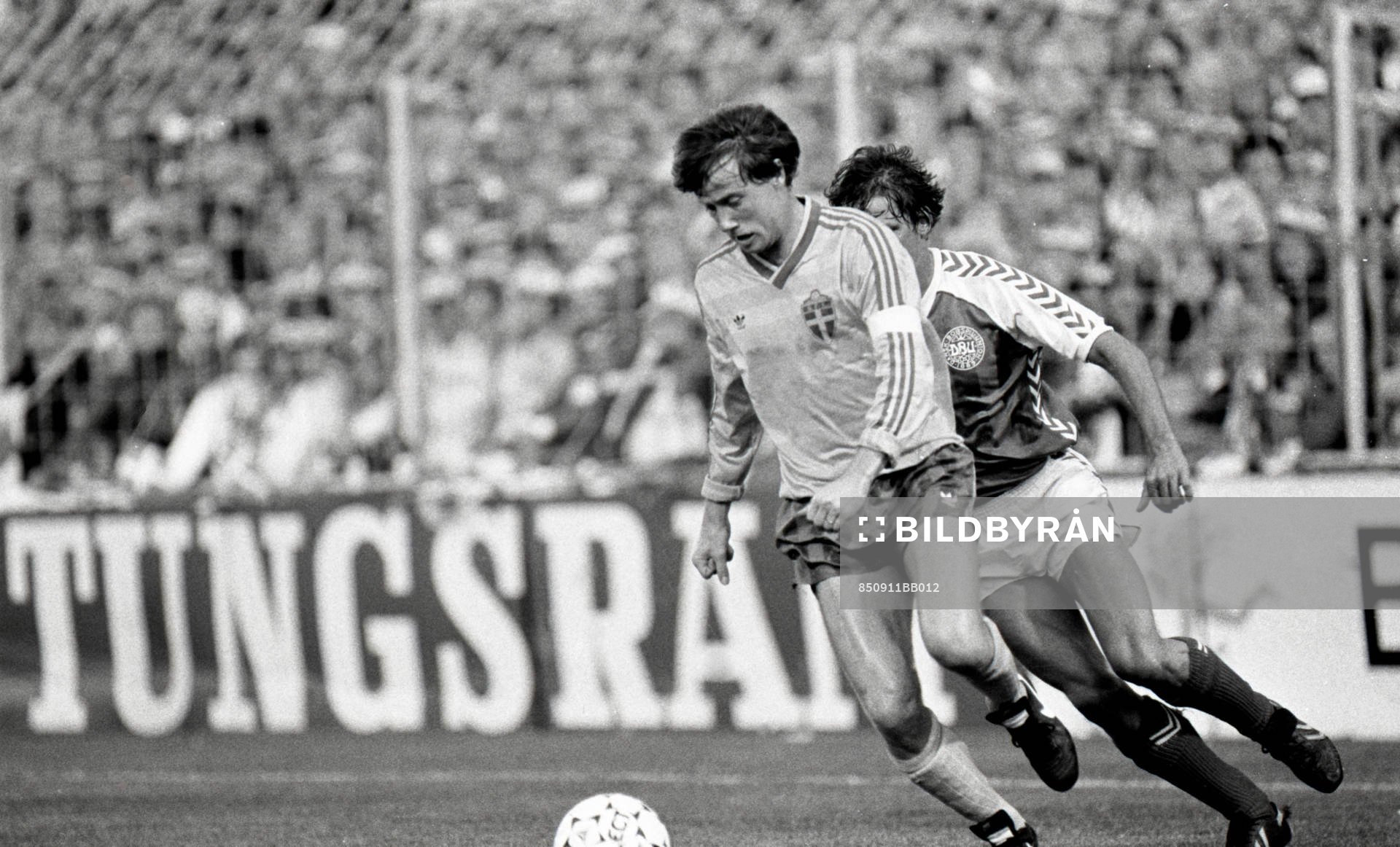 Ingemar Erlandsson, Sverige