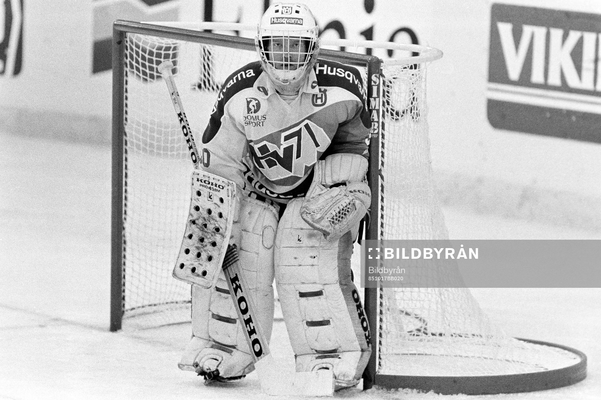Thomas Javeblad, målvakt i HV71