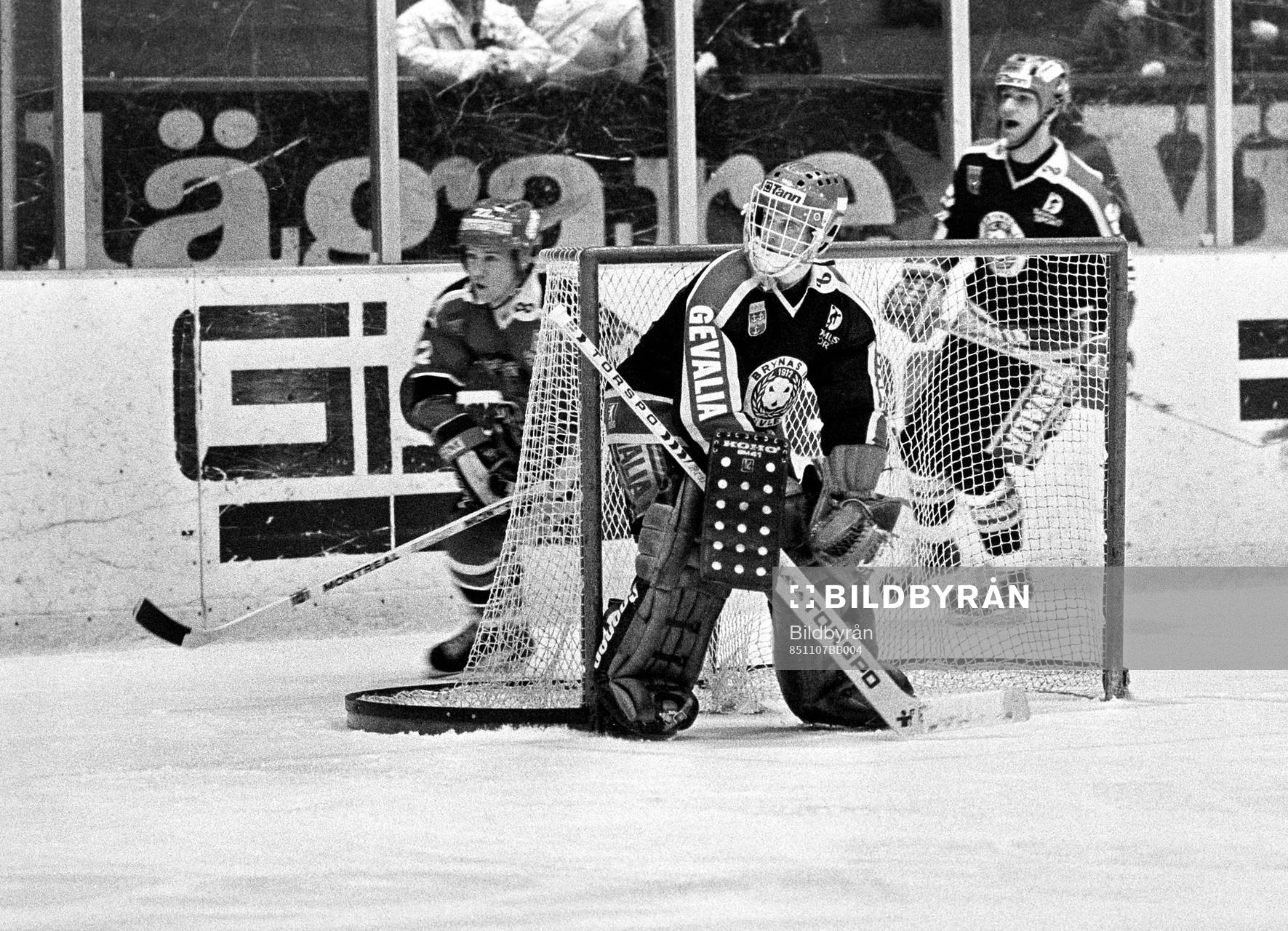 Åke Lilljebjörn, målvakt i Brynäs