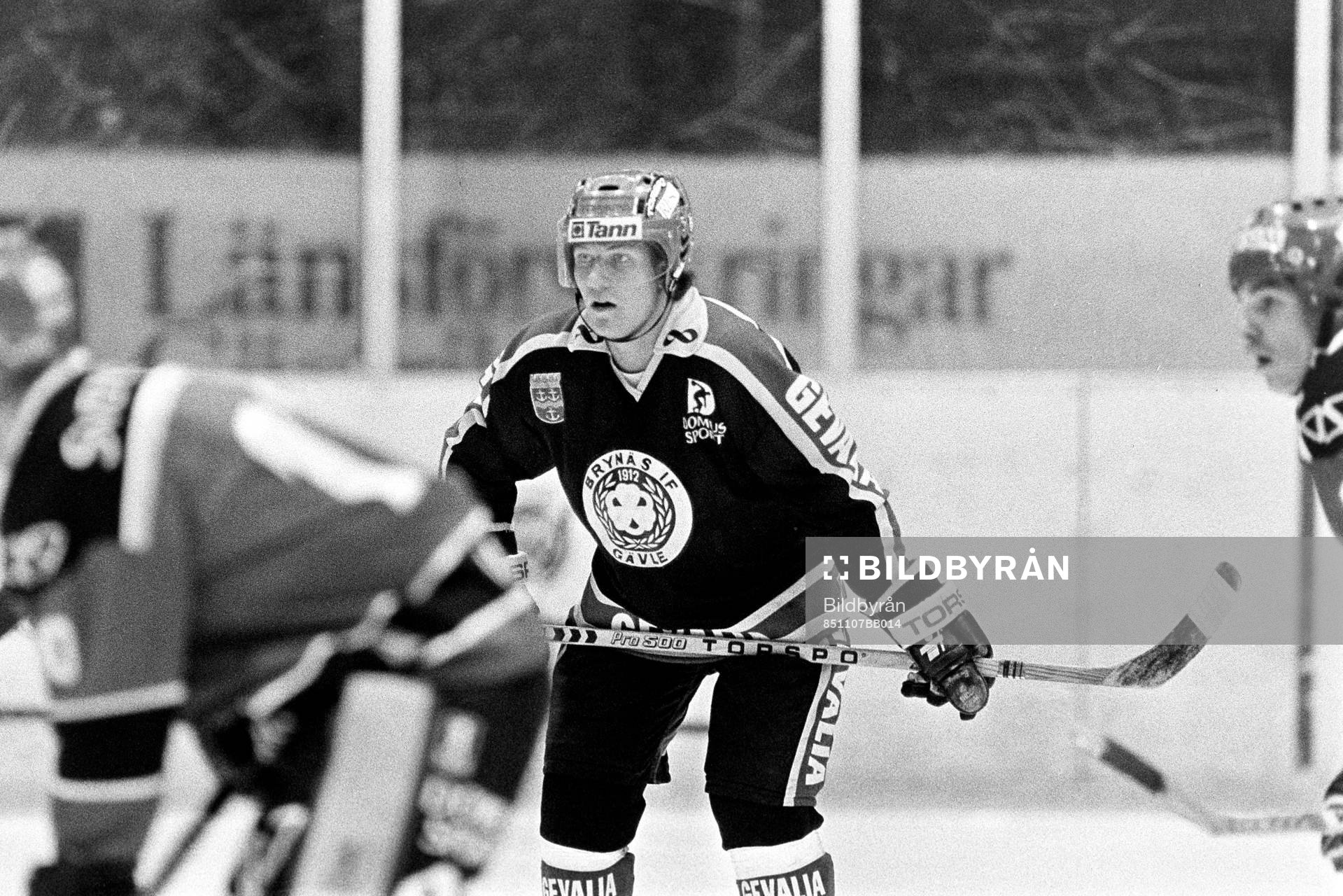 Joakim Pehrson, Brynäs