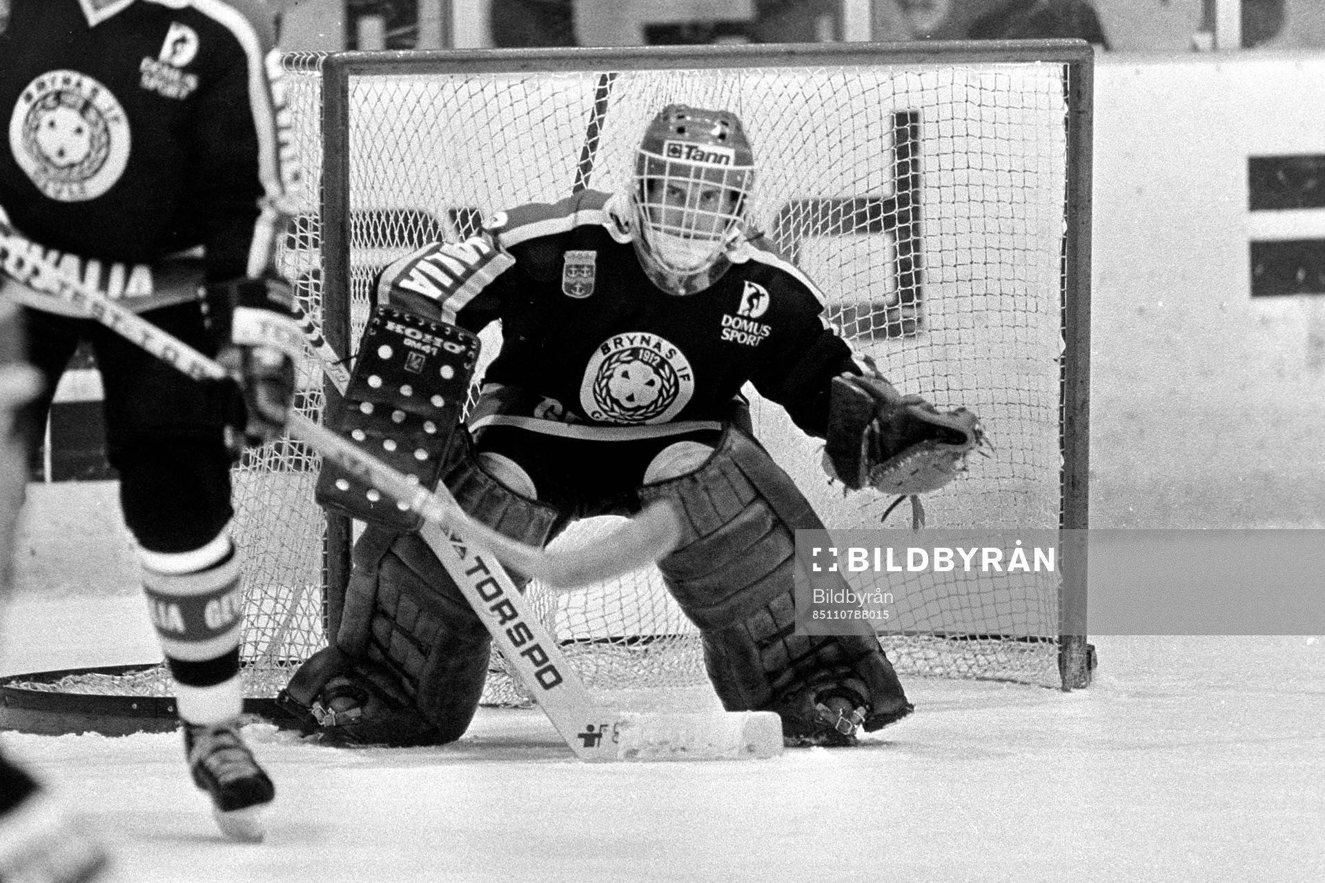 Åke Lilljebjörn, målvakt i Brynäs