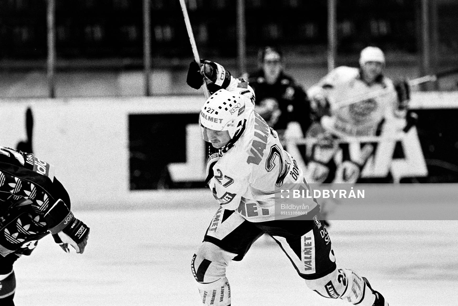 Tore Ökvist, Björklöven i skottagen
