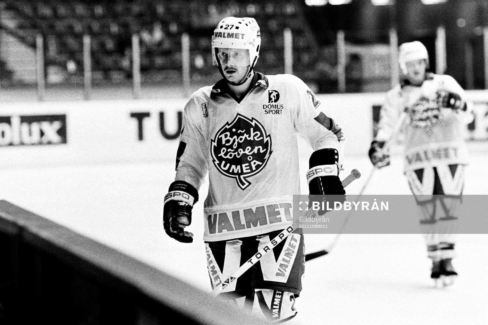 Tore Ökvist, Björklöven