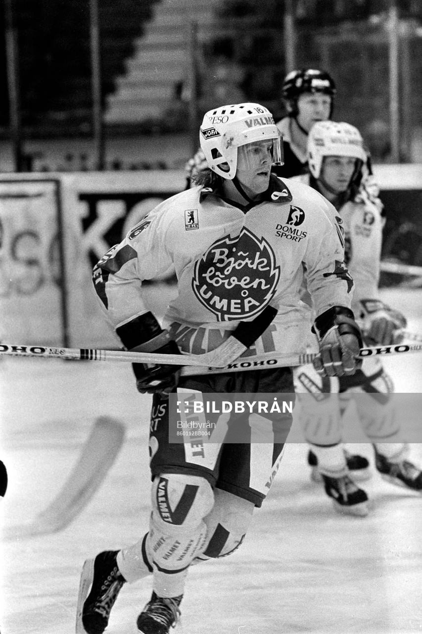 Mikael Hjälm, Björklöven