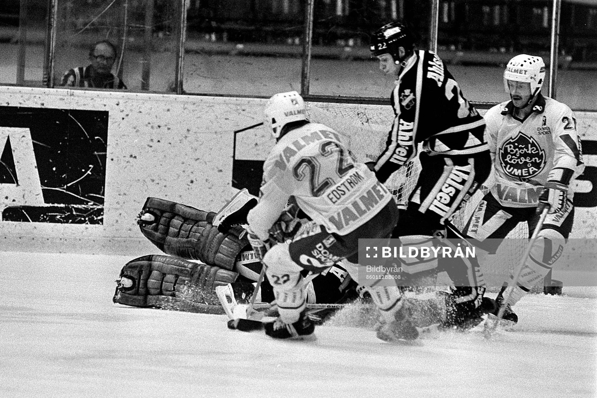 Peter Edström och Tore Ökvist, Björklöven oroar Gunnar