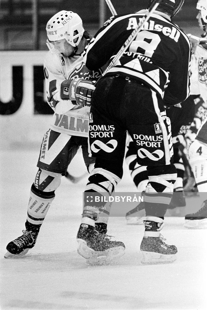 Matti Panna, Björklöven och Roger Lindström, AIK