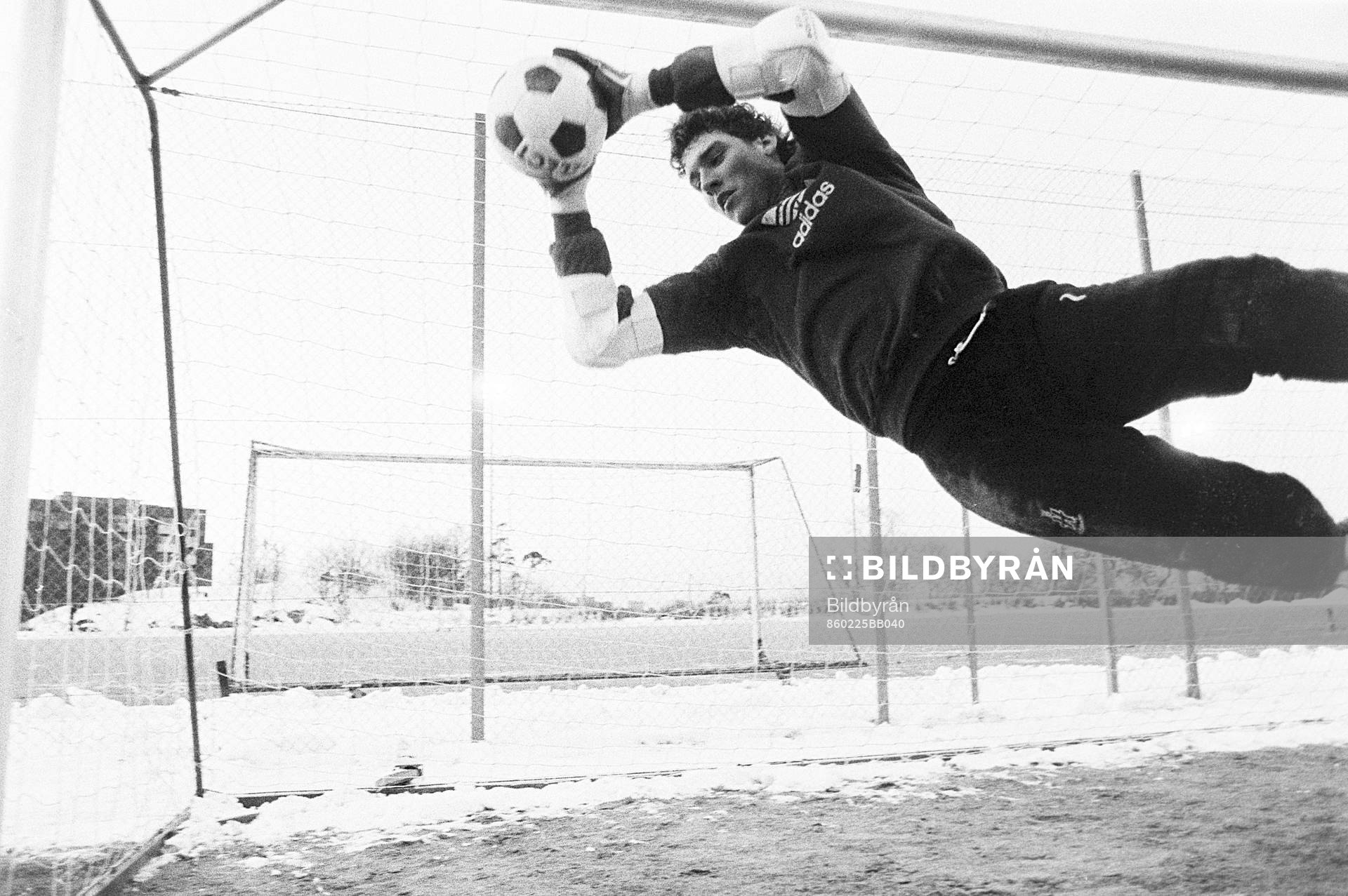 Mark White, ny målvakt i Hammarby