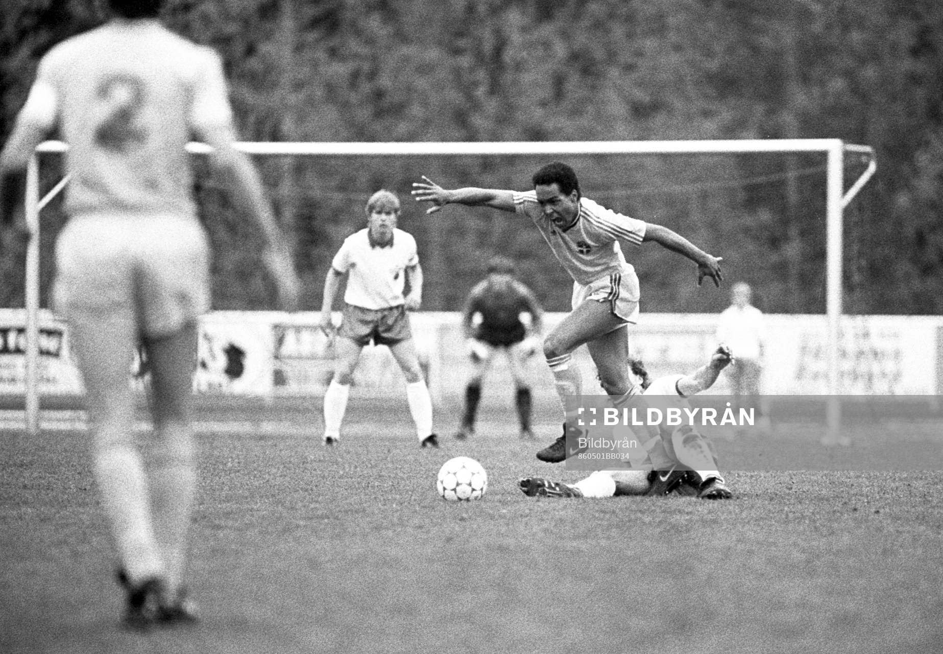 Martin Dahlin, Sverige
