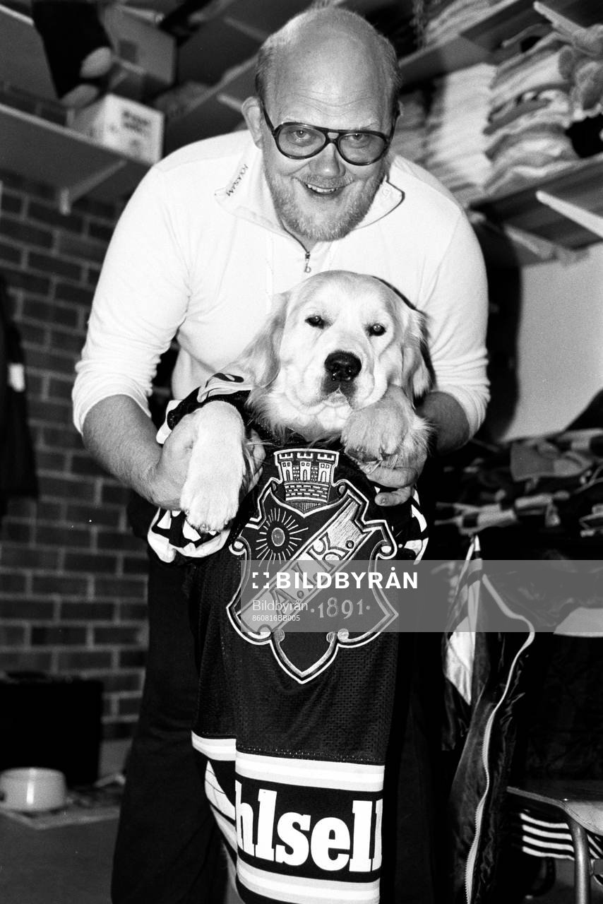 En hund i AIK tröja