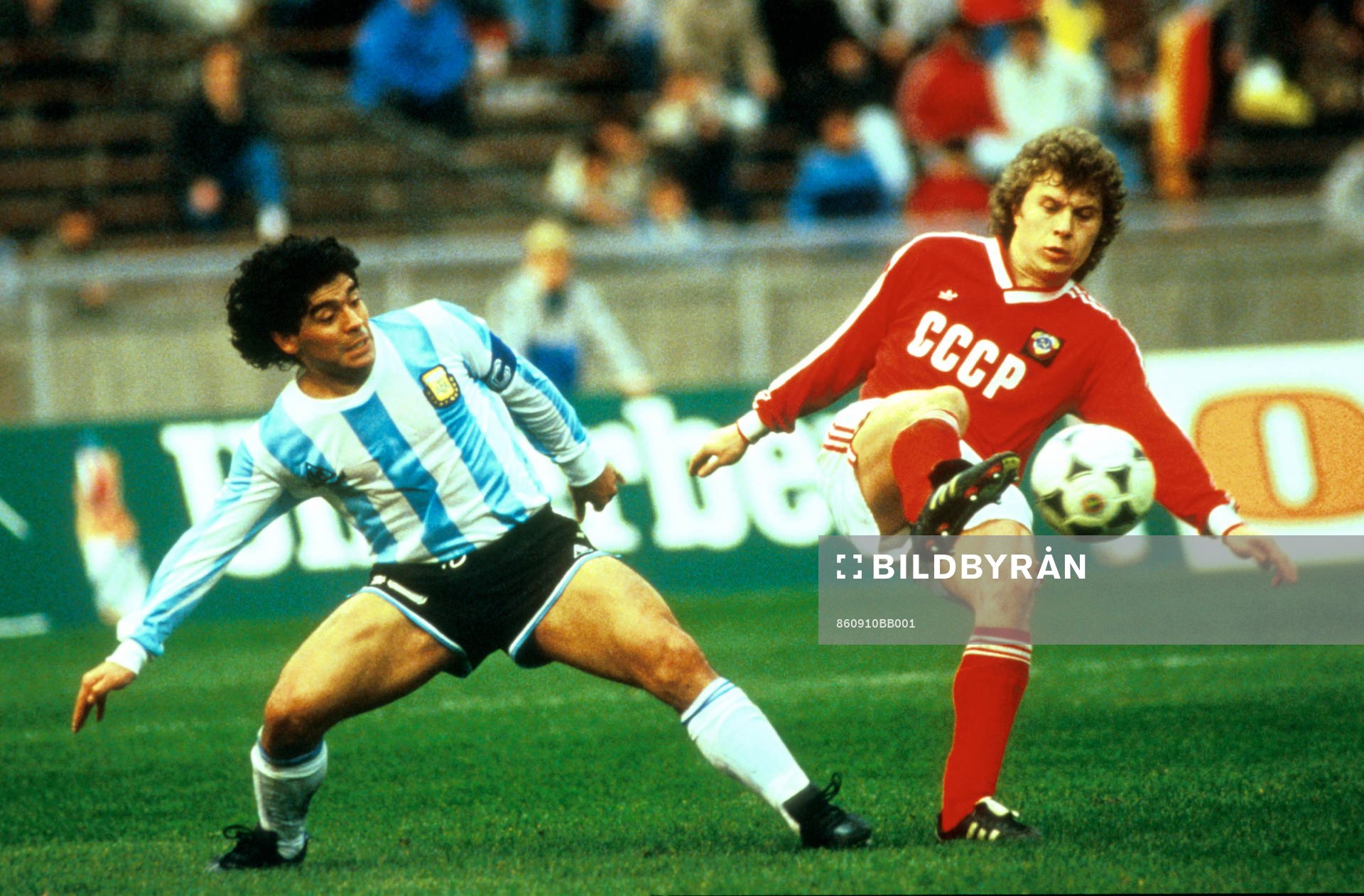  Maradona