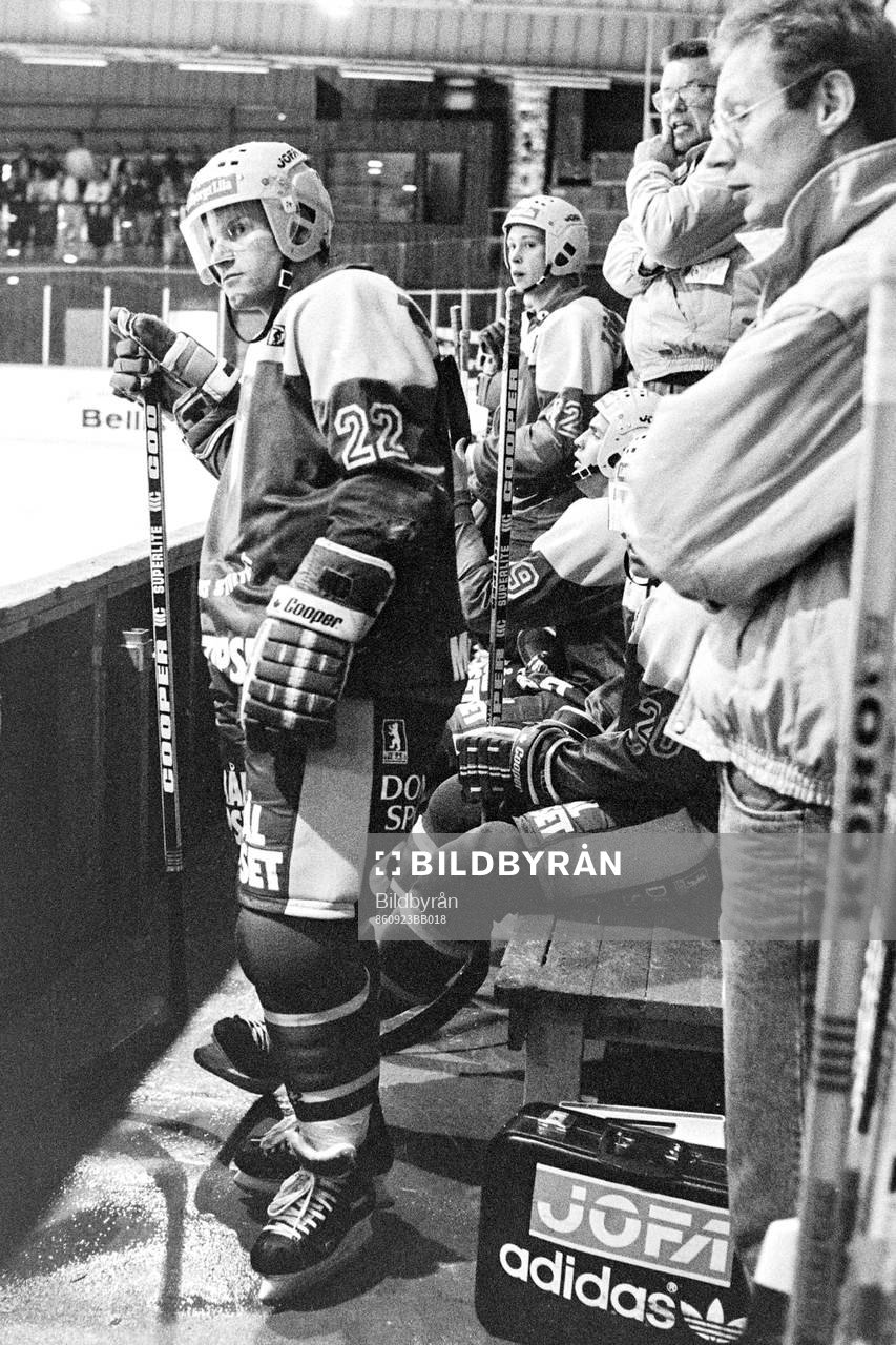 Håkan Södergren, Djurgården
