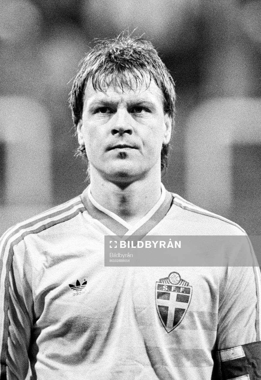 Göran Arnberg, Sverige