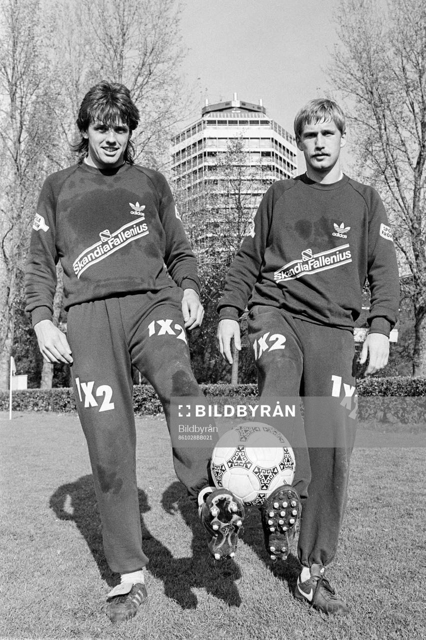 Göran Holter och Lennart Nilsson, Sverige
