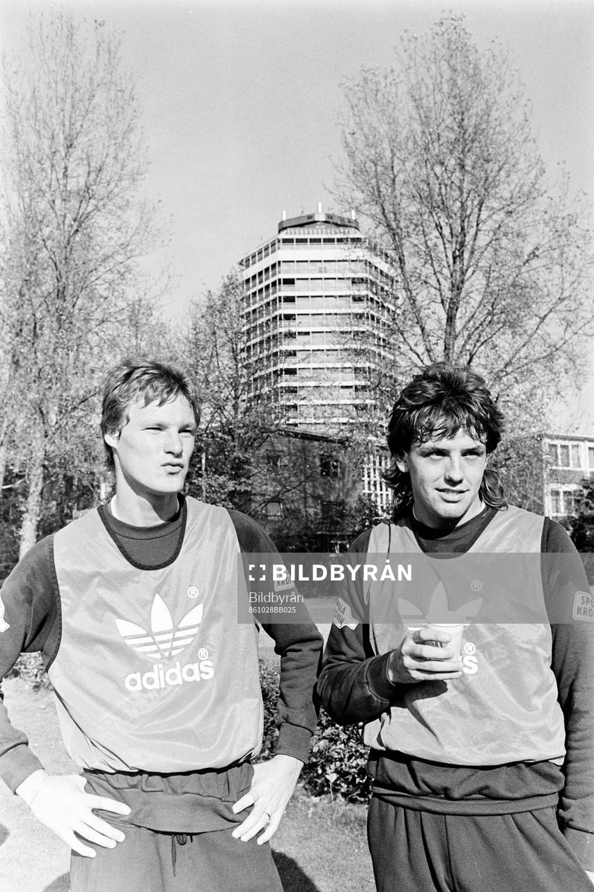 Peter Lönn och Göran Holter, Sverige