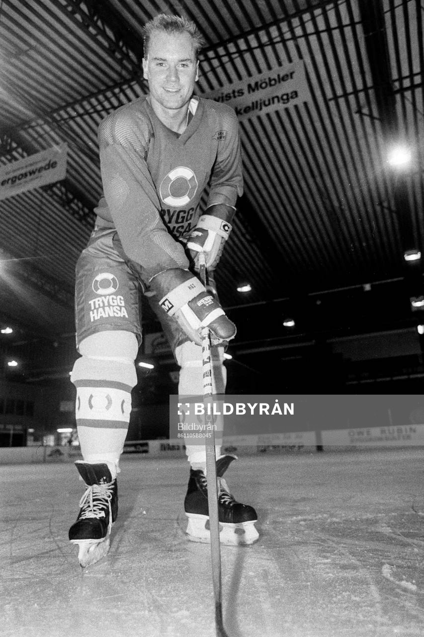 Peter Ekroth, Sverige