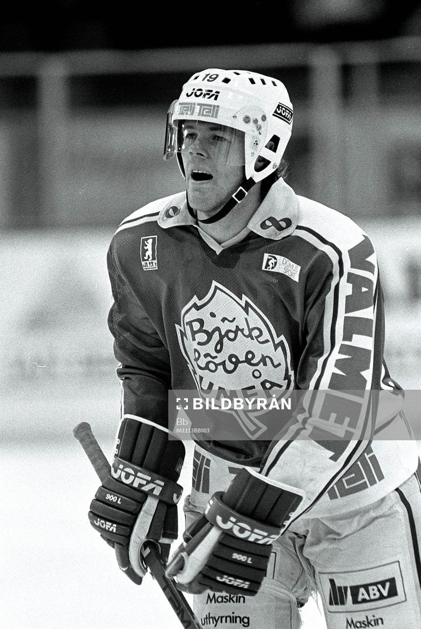 Peter Andersson, Björklöven