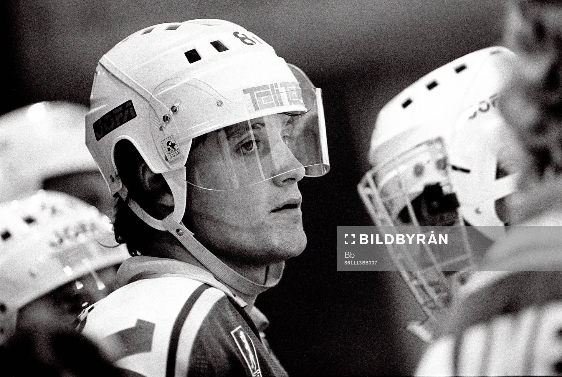 Peter Sundström, Björklöven