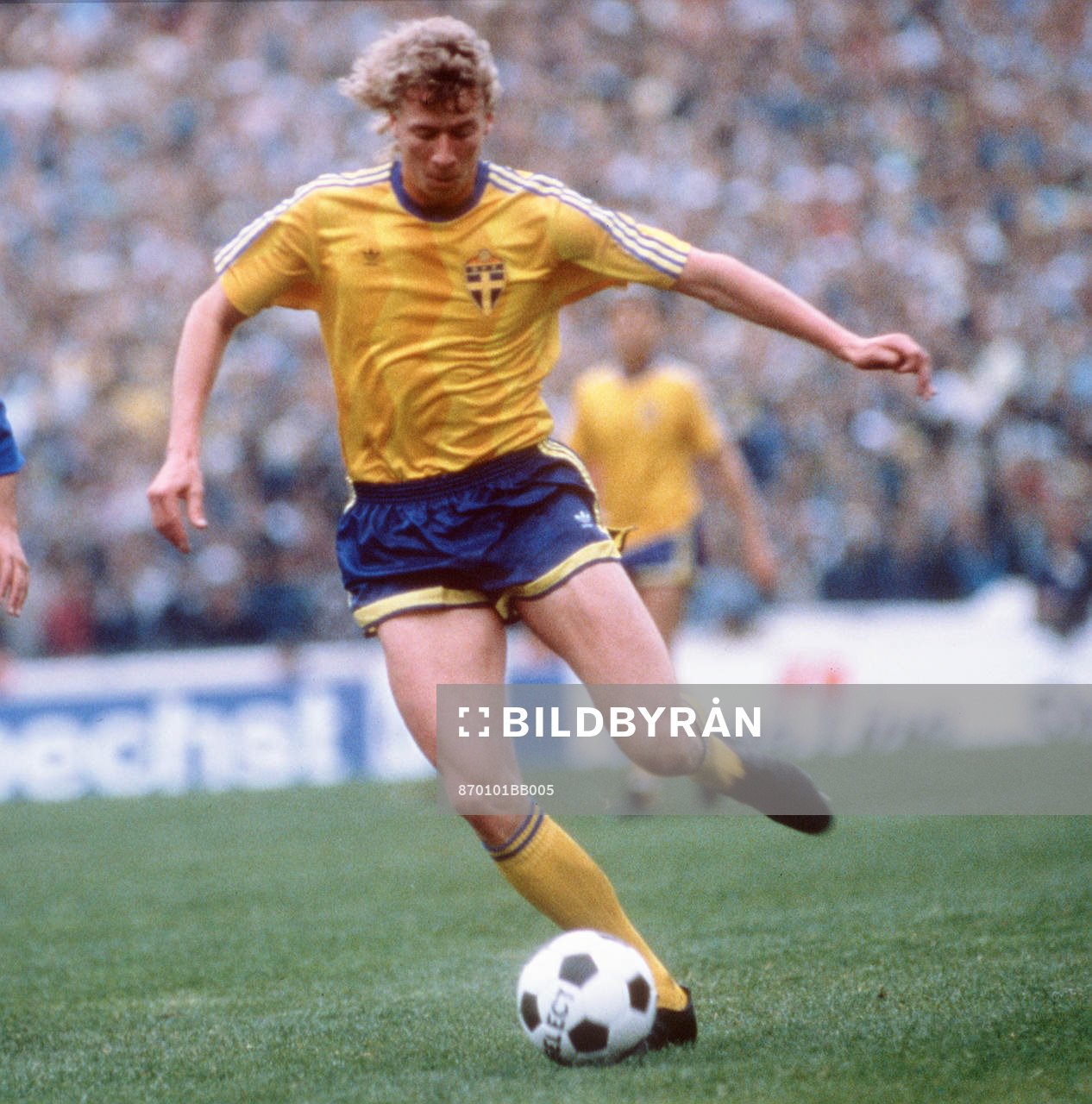 Johnny Ekström, Sverige