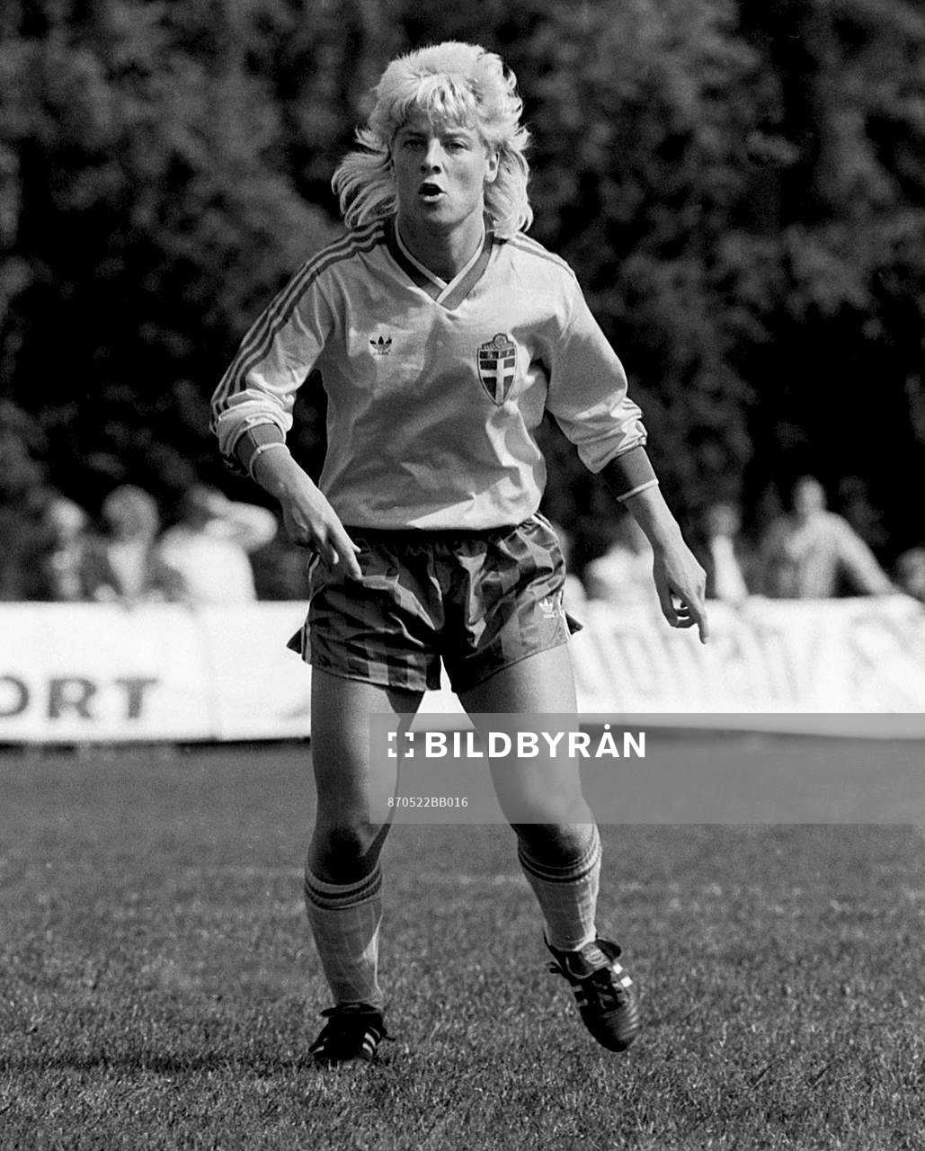 Anna Svenjeby, Sverige