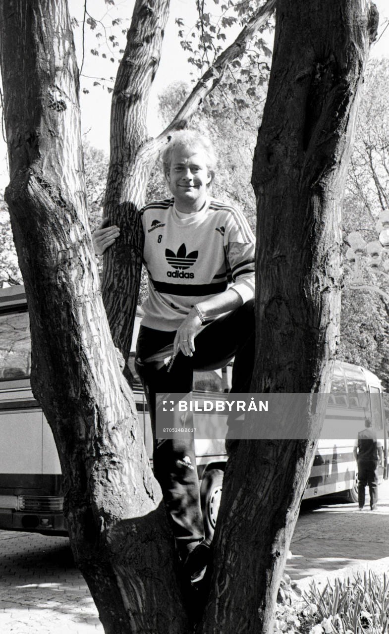 Mats Magnusson, Sverige