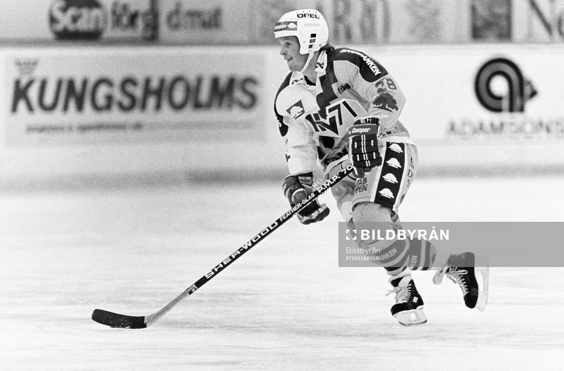 Reijo Ruotsalainen, HV71