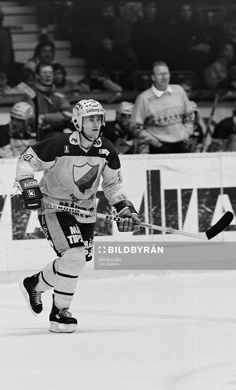 Anders Johnson, Djurgården