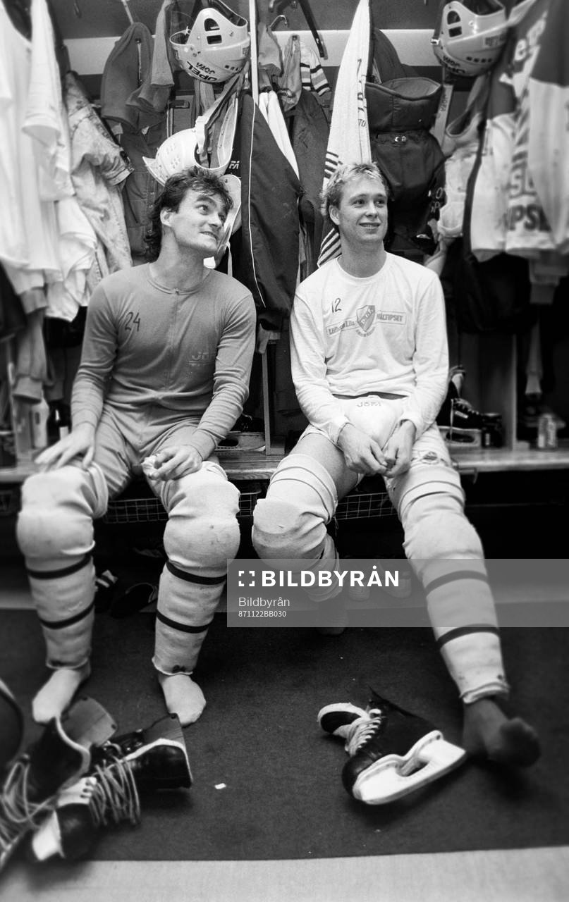 Anders Johnson och Peter Nilsson, Djurgården