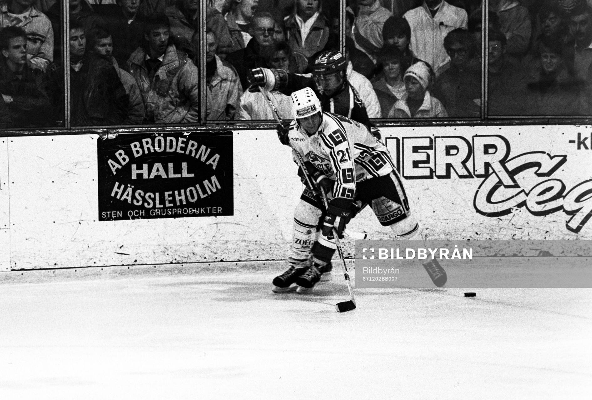 Peter Elander, Rögle med pucken