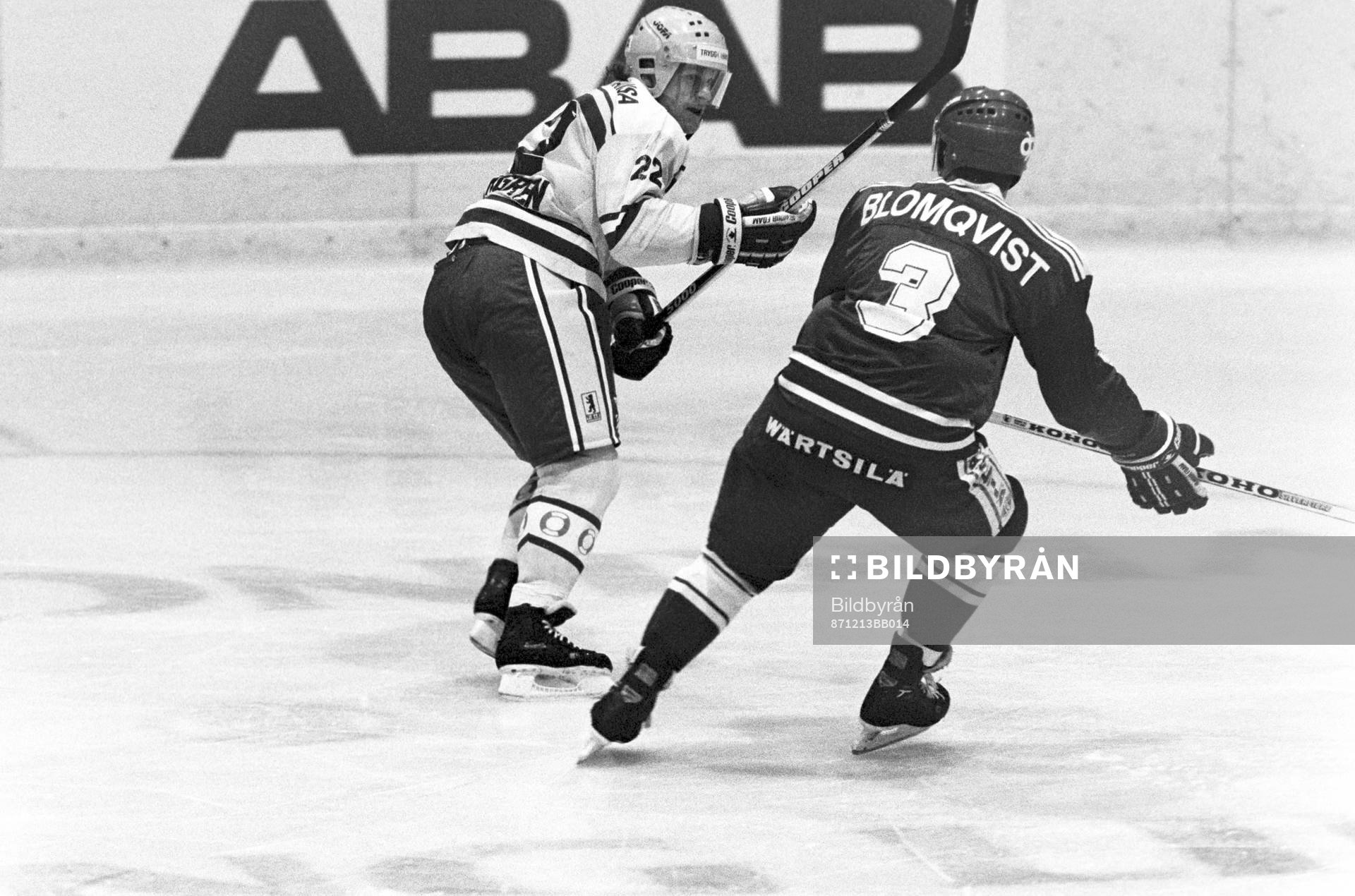 Sveriges Håkan Södergren och Timo Blomqvist, Finland