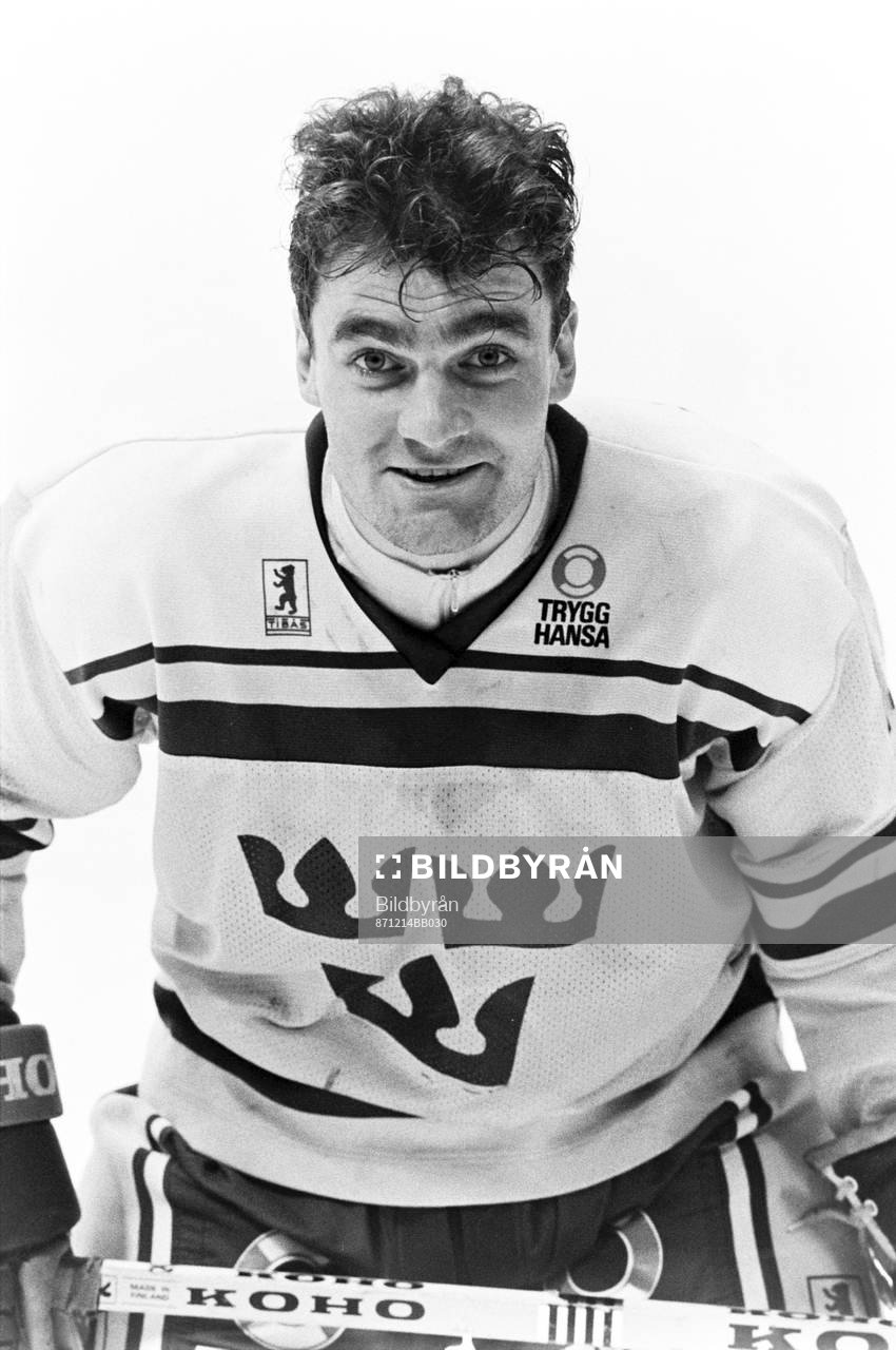 Anders Johnson, Sverige