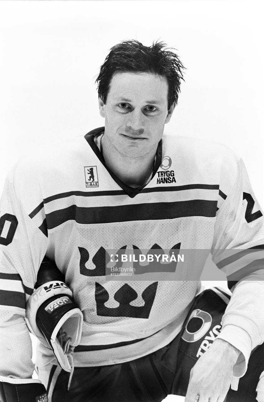 Bo Berglund, Sverige