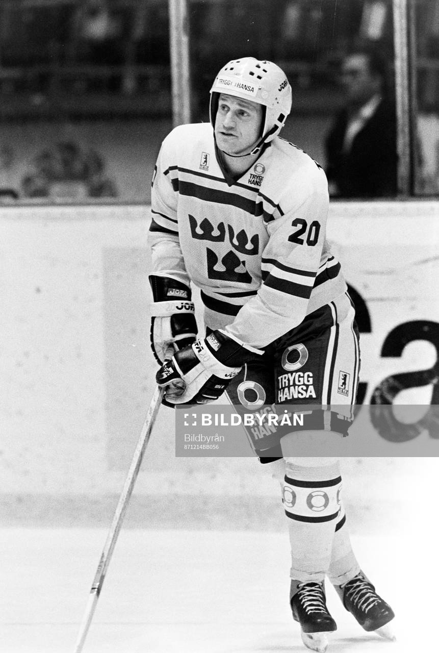 Bo Berglund, Sverige