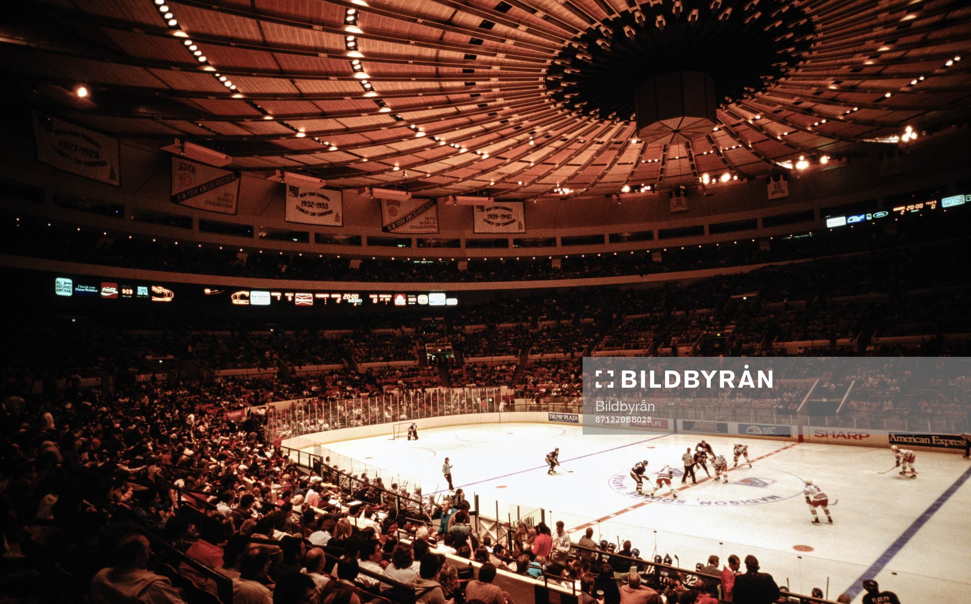 Madison Square Garden
