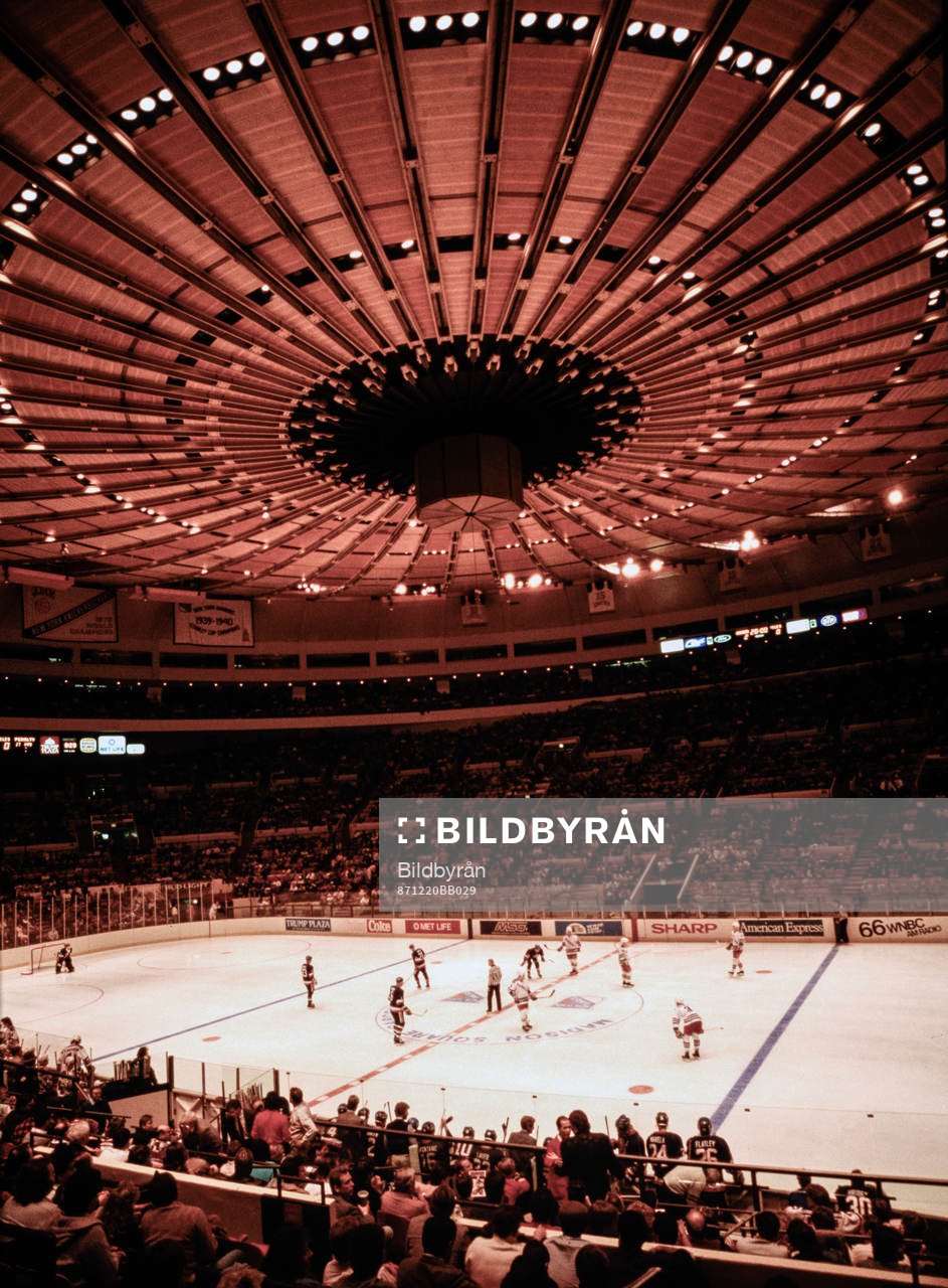 Madison Square Garden