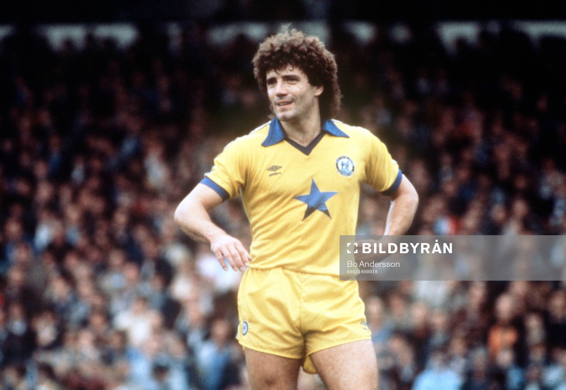 Kevin Keegan, Newcastle