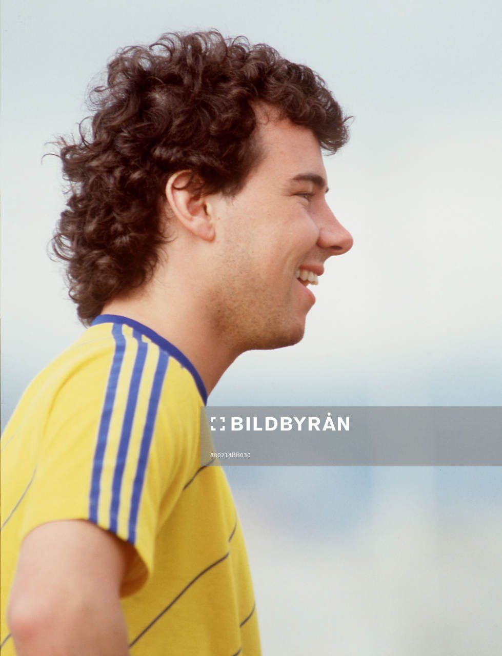 Stefan Rehn, Sverige